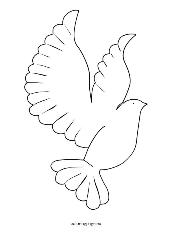 Printable dove template coloring page