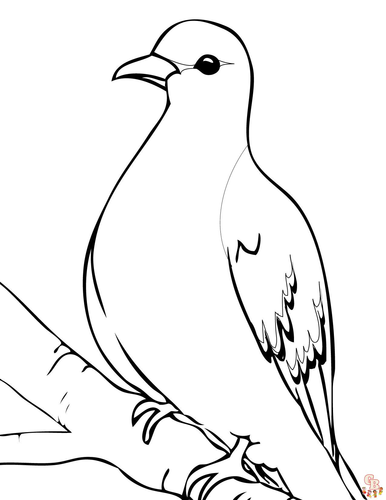 Discover the beauty of dove coloring pages free printable sheets
