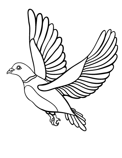 Free dove coloring page