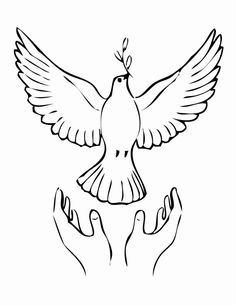 Dove coloring pages