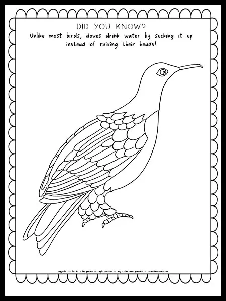 Dove coloring page with fun fact free printable â the art kit