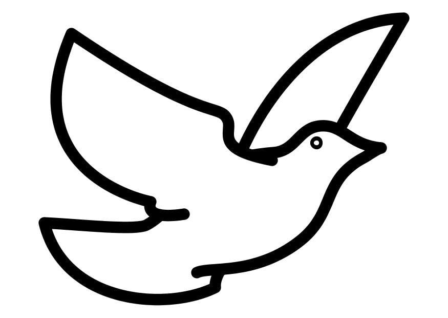 Coloring page dove