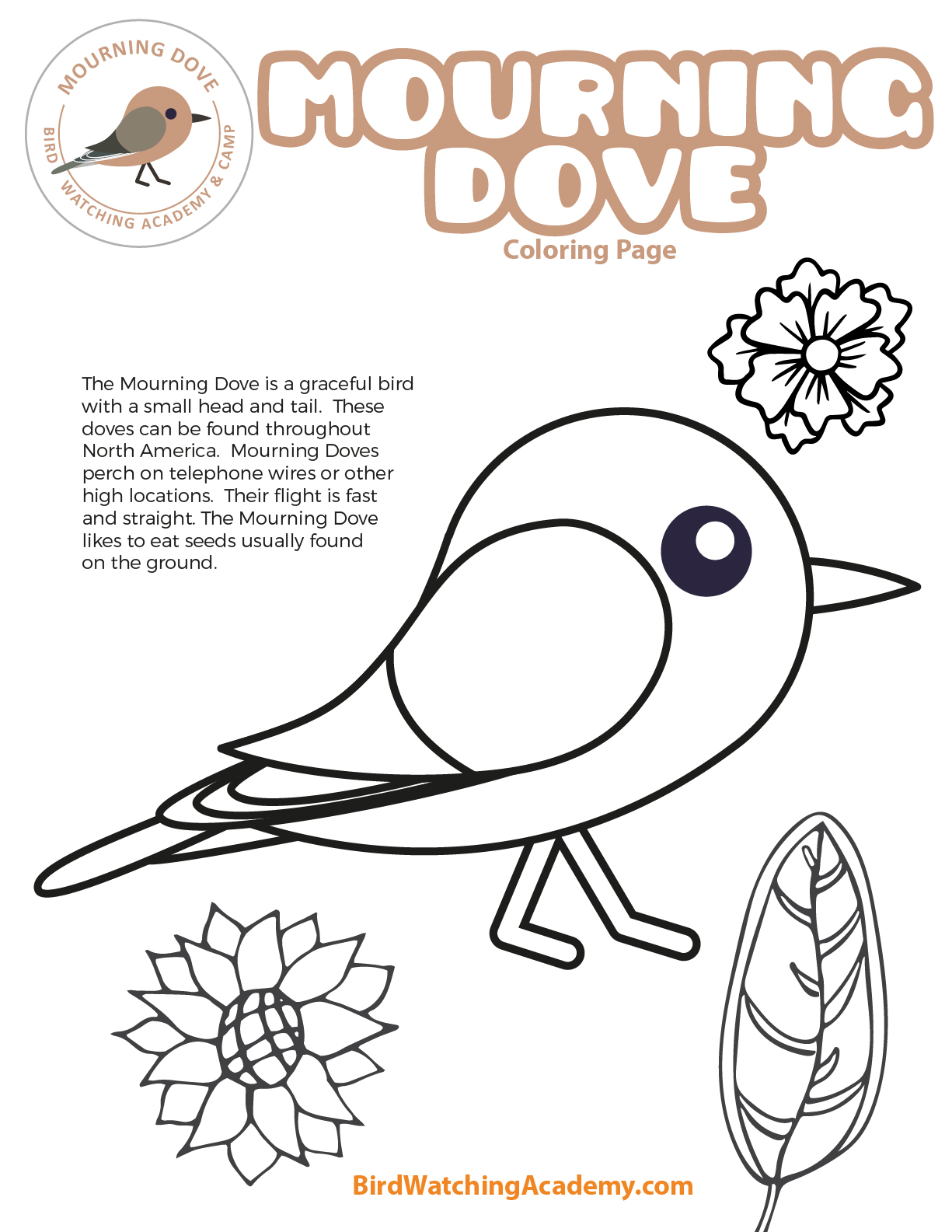 Mourning dove coloring page