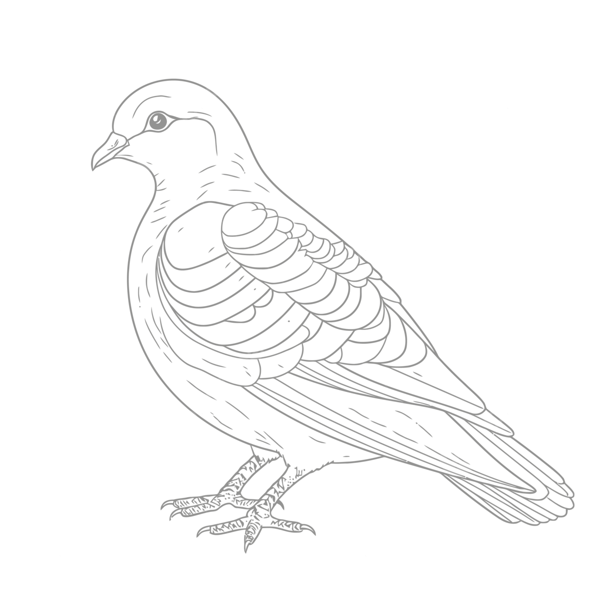 Dove coloring page dove coloring pages to print dove coloring pages coloring page dove coloring pages to print outline sketch drawing vector dove drawing wing drawing ring drawing png and vector with