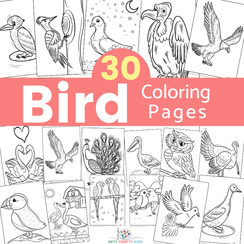 Bird coloring pages