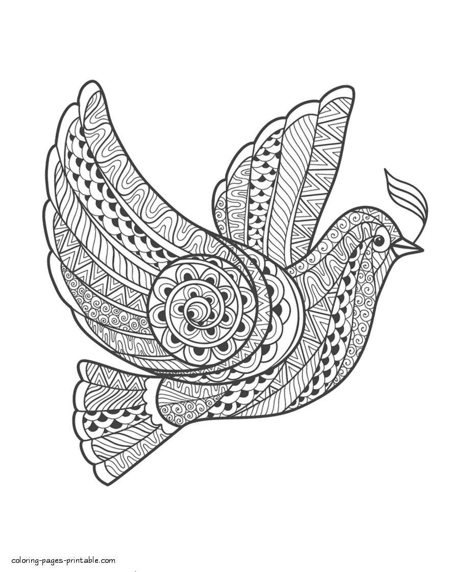 Dove coloring page for adult coloring