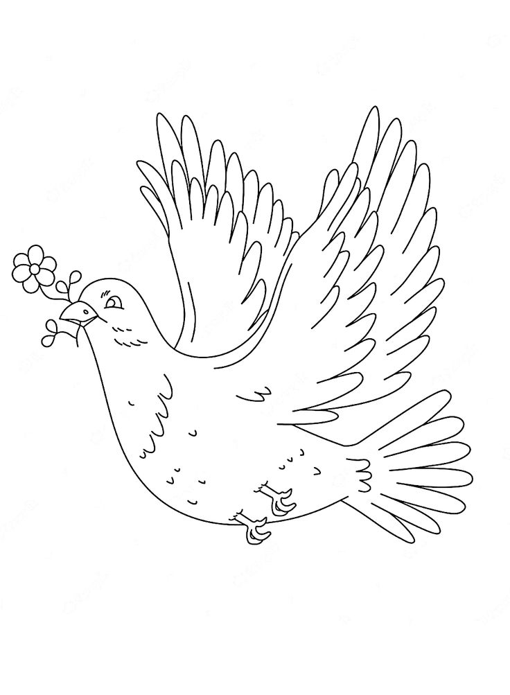 Doves coloring pages