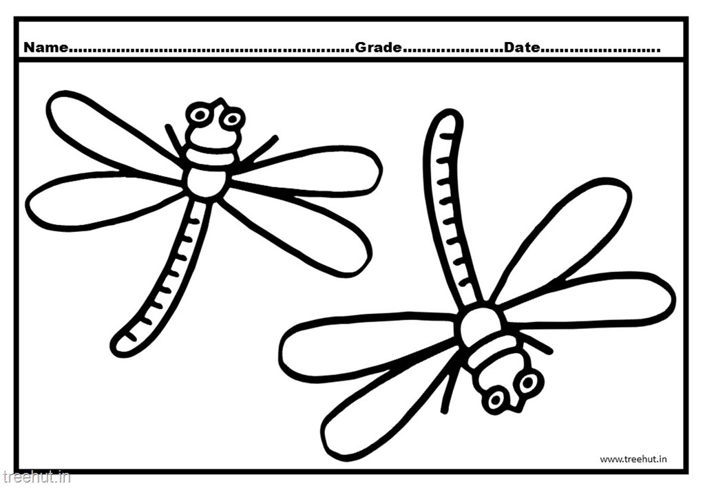 Cute dragonfly colorg pages