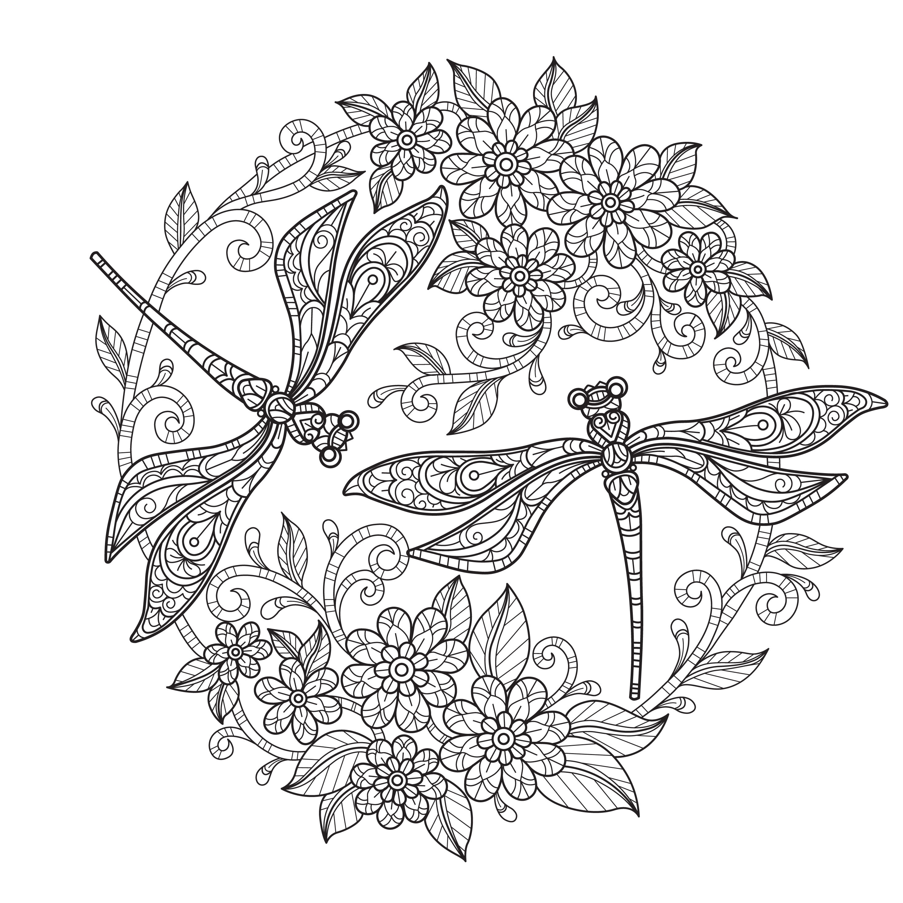 Digital printable beautiful dragonfly coloring pages medium difficulty details pages