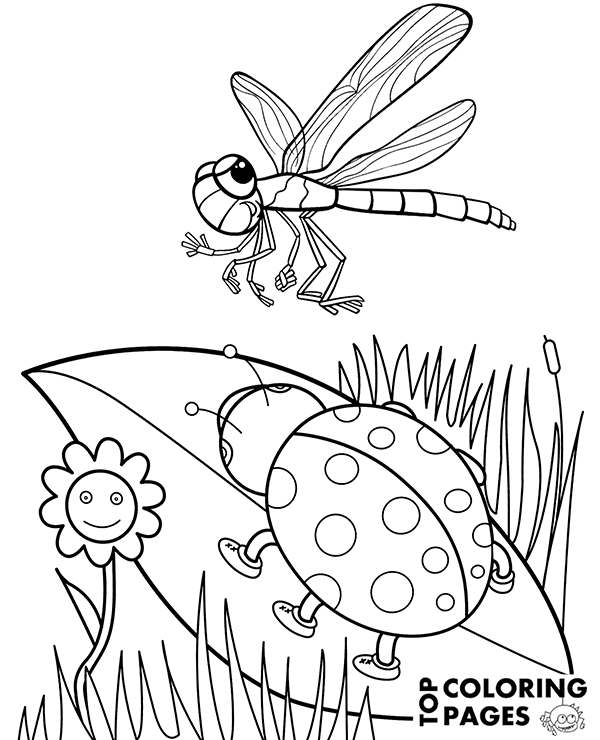 Ladybird dragonfly coloring page