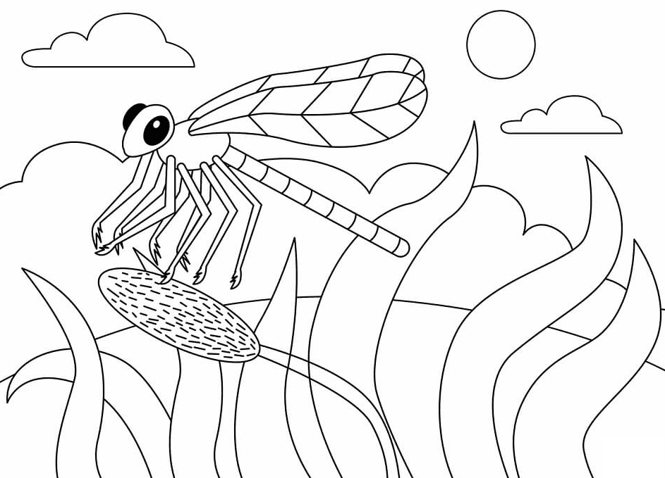 Dragonfly coloring pages printable for free download