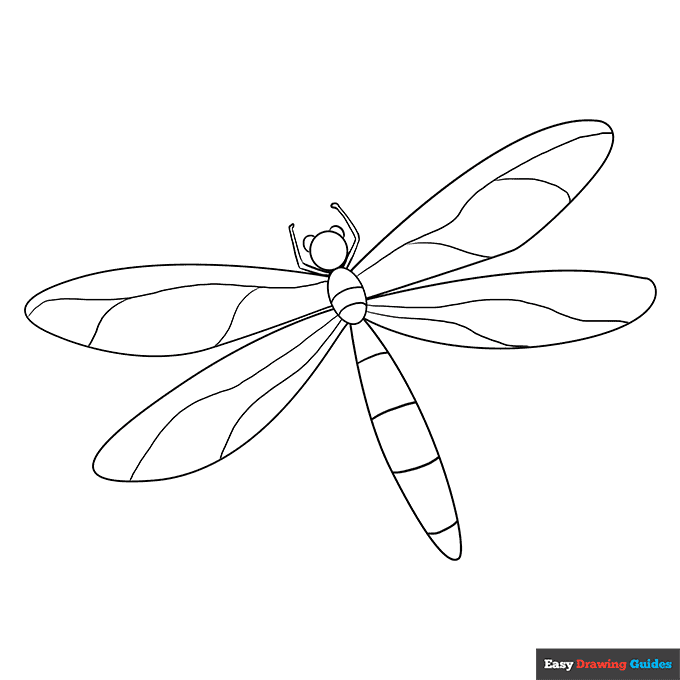Dragonfly coloring page easy drawing guides