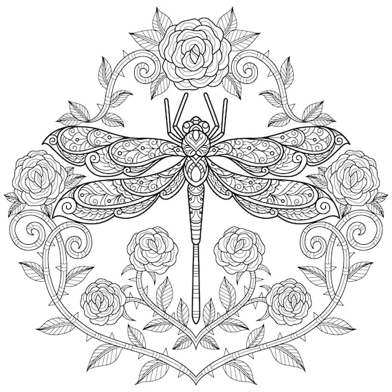 Digital printable beautiful dragonfly coloring pages medium difficulty details pages