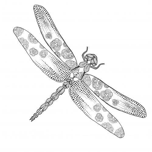 Free dragonfly adult coloring page