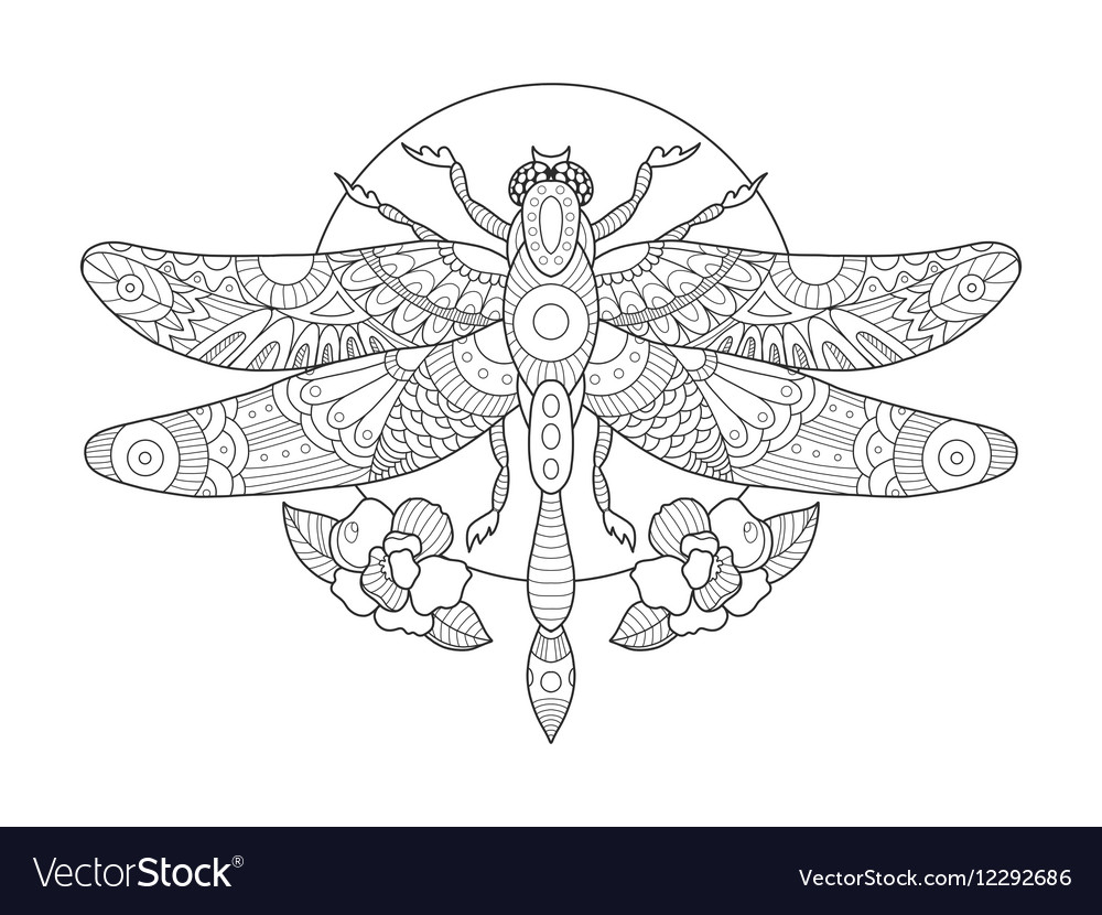 Dragonfly coloring book for adults royalty free vector image