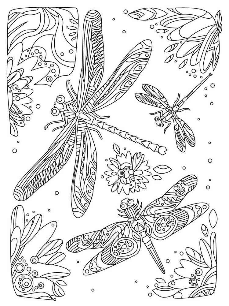 Dragonfly coloring pages for adults