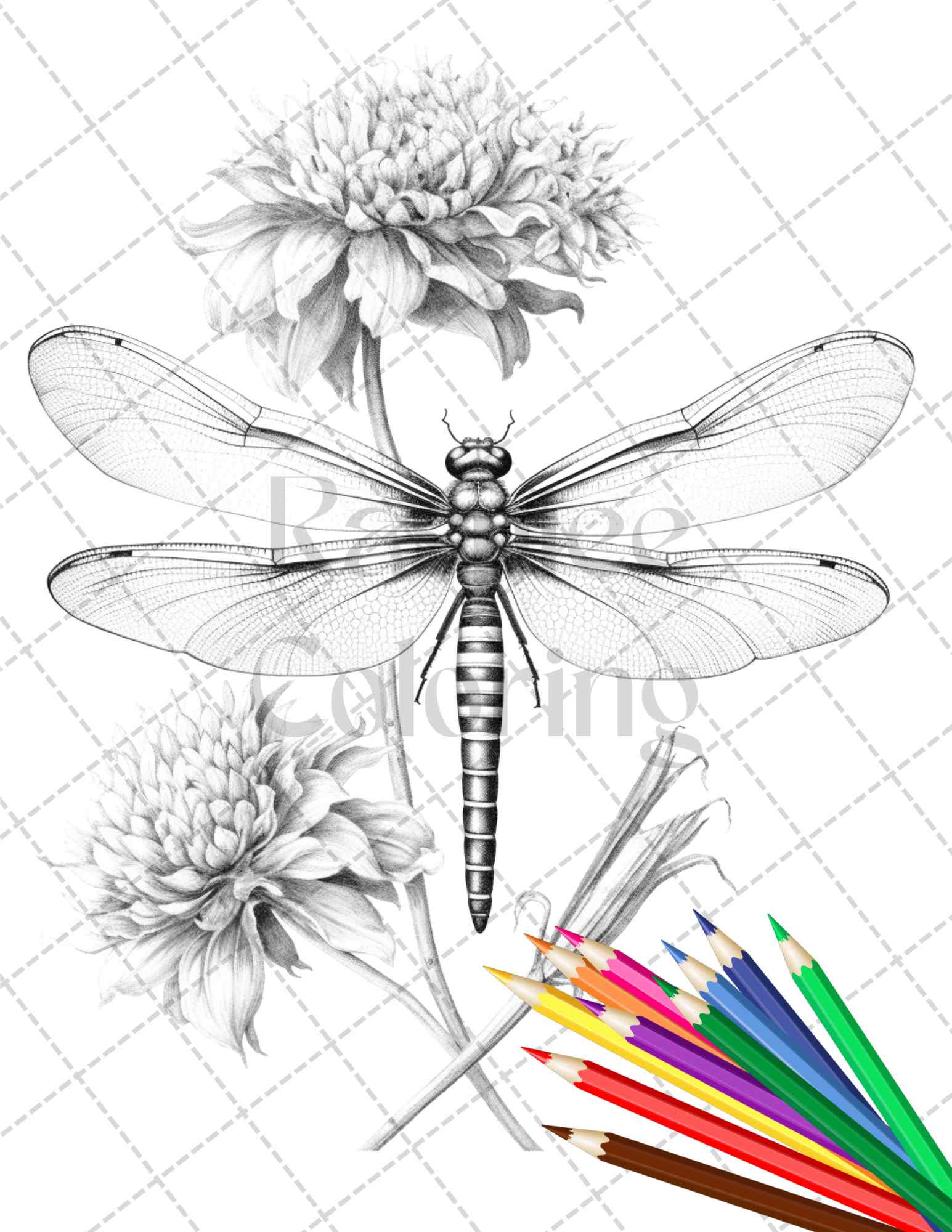 Vintage botanical dragonfly grayscale coloring pages printable for adu â coloring