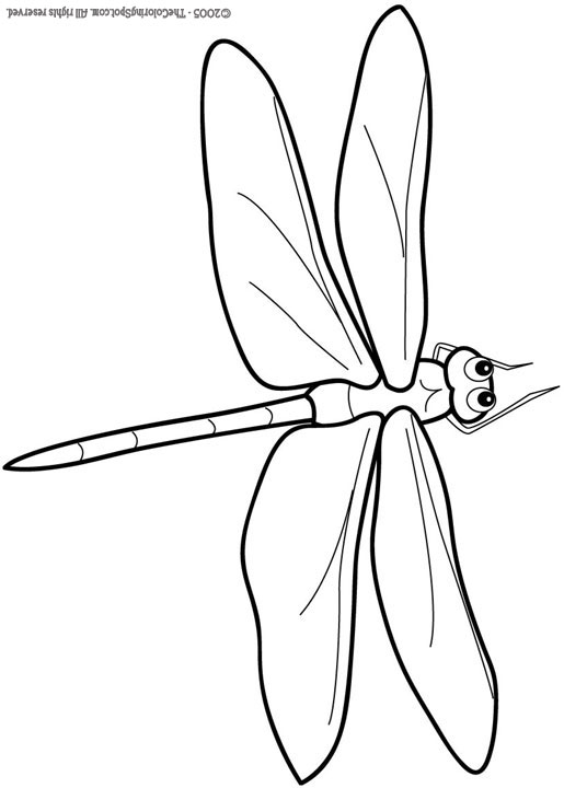 Dragonfly coloring page audio stories for kids free coloring pages colouring printables