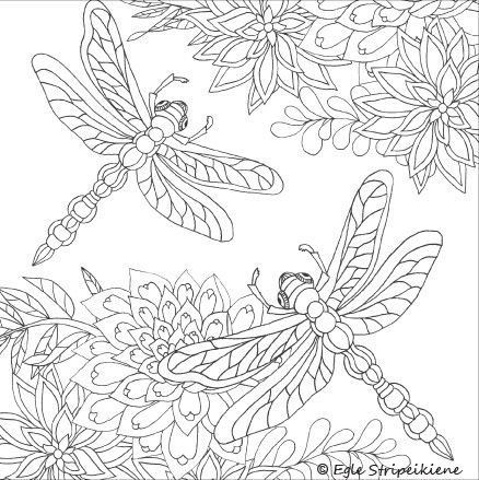 Brilliant photos of dragonfly coloring book coloring pages flower coloring pages mandala coloring pages