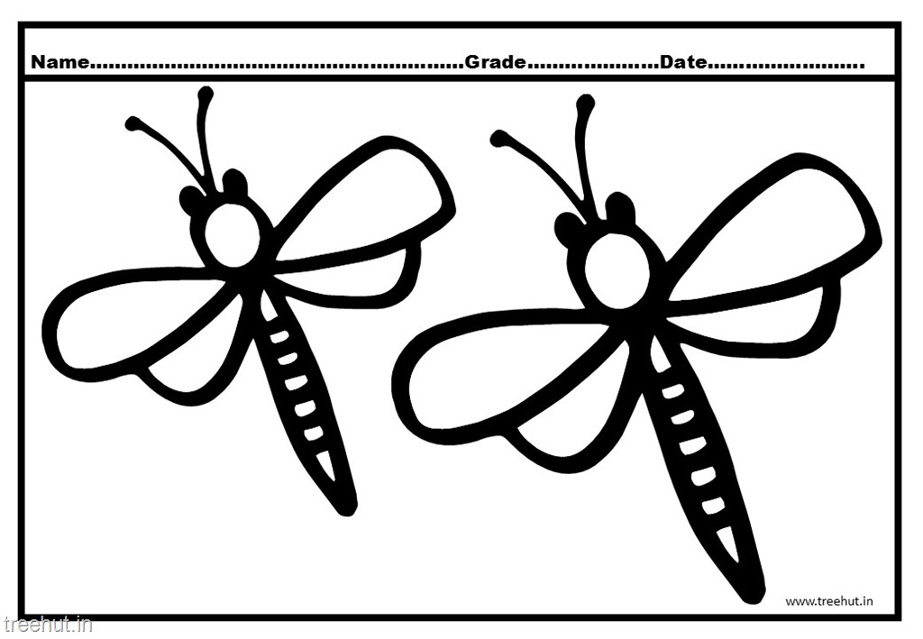 Cute dragonfly colorg pages