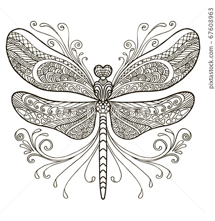 Dragonfly coloring vector
