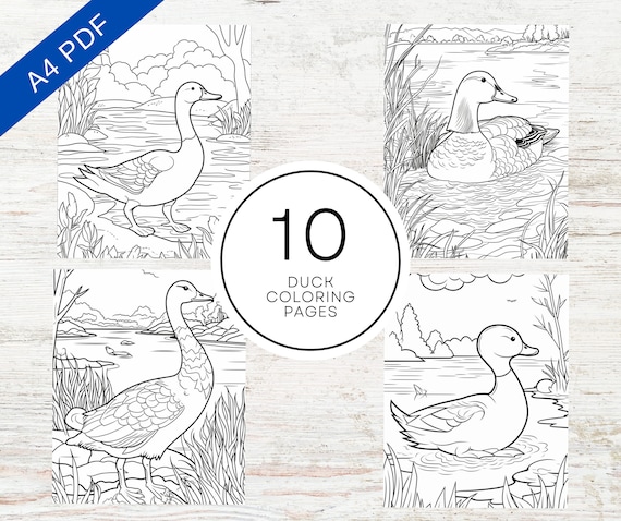 Duck coloring pages printable pdf a animal coloring sheets for kids adults stress relief and relaxation download now