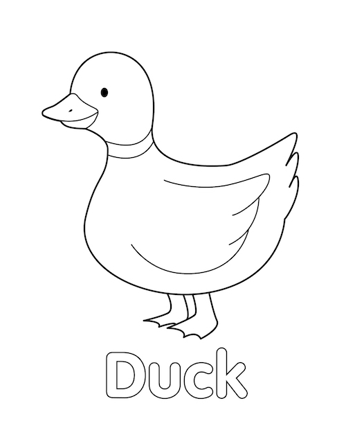 Duck coloring page