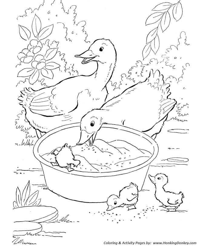 Farm animal ducks eating grain coloring pages printable duck coloring page and kids activity sheet