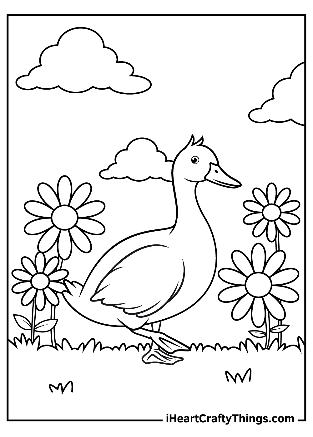 Duck coloring pages free printables