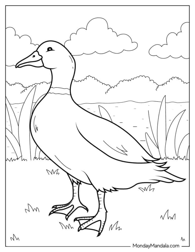 Cute duck coloring pages free pdf printables