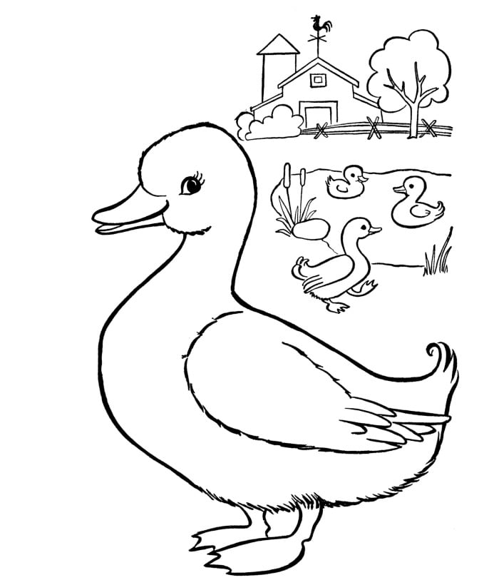 Duck shape s crafts and colouring pages