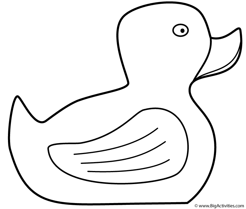 Duck