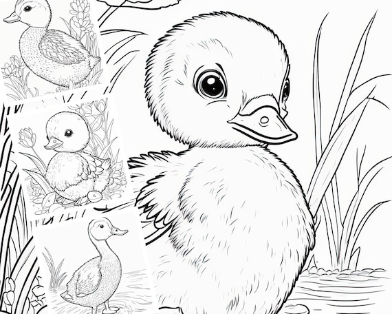 Spring duckling coloring pages for kids montessori coloring homeschool resource daycare resource sunday school activity printable art