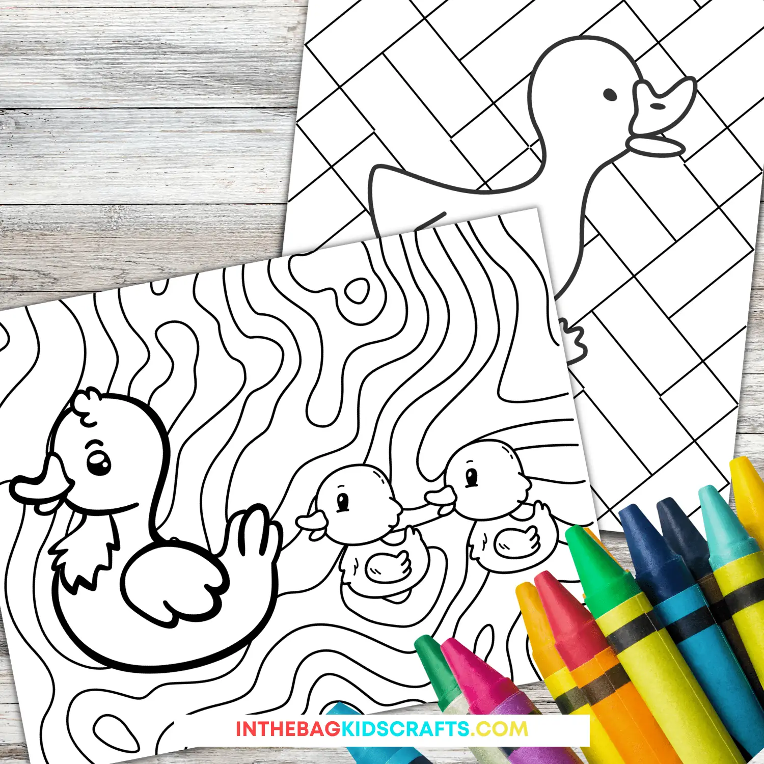 Duck coloring pages free printables â in the bag kids crafts