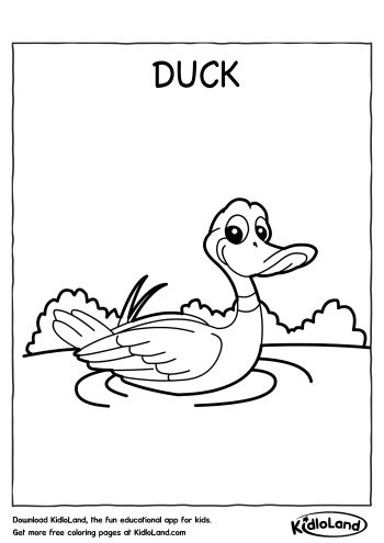 Download free duck coloring page and educational activity worksheets for kids