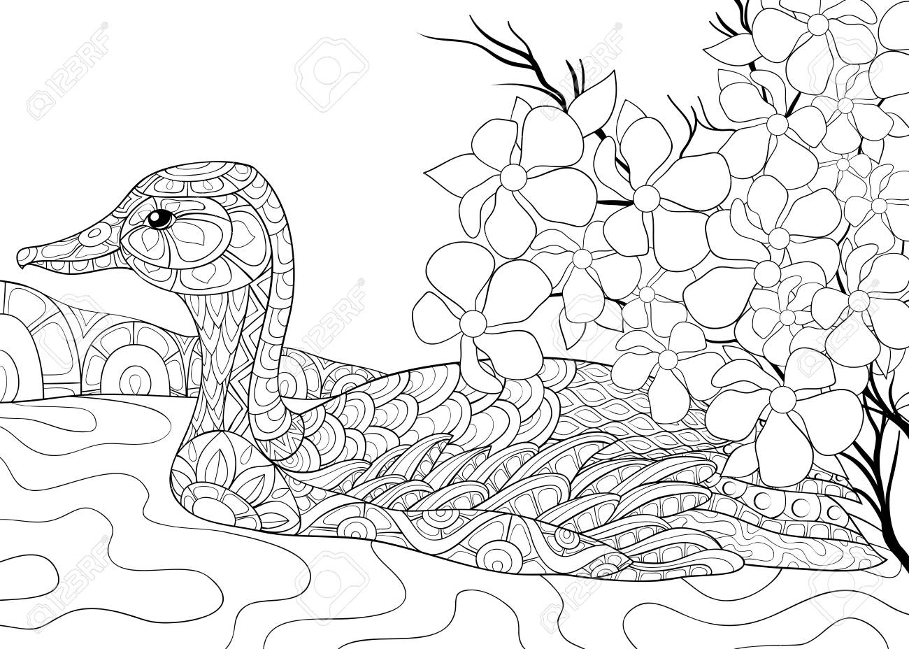 A cute duck on the river image for relaxing activitya coloring bookpage for adultszen art style illustration for printposter design royalty free svg cliparts vectors and stock illustration image