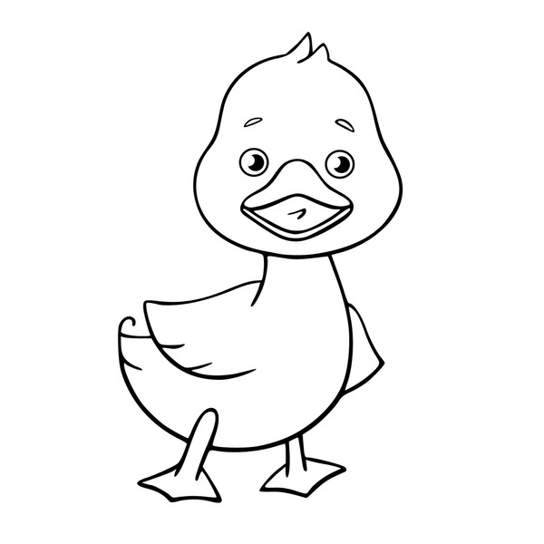 Thousand colored drawing duck royalty