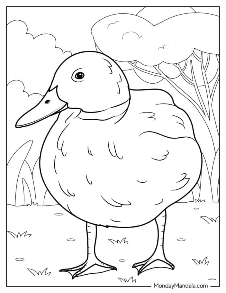 Cute duck coloring pages free pdf printables