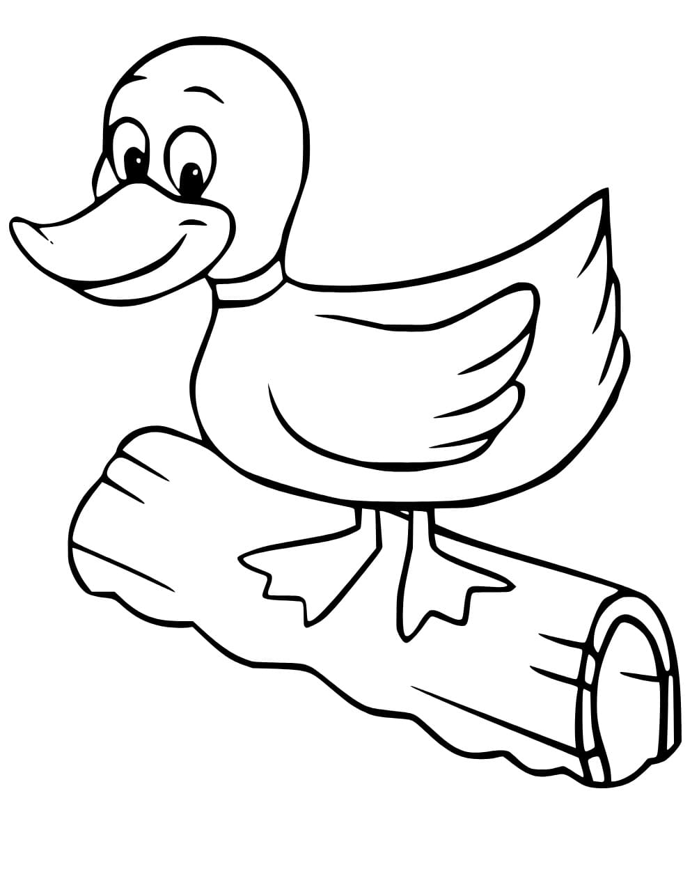 Cute mallard duck coloring page