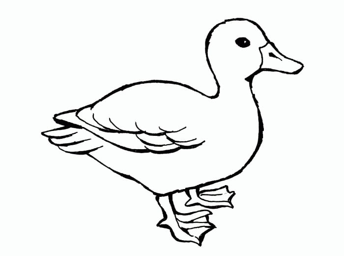 Duck shape s crafts and colouring pages