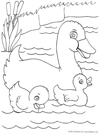 Duck with ducklings coloring page â