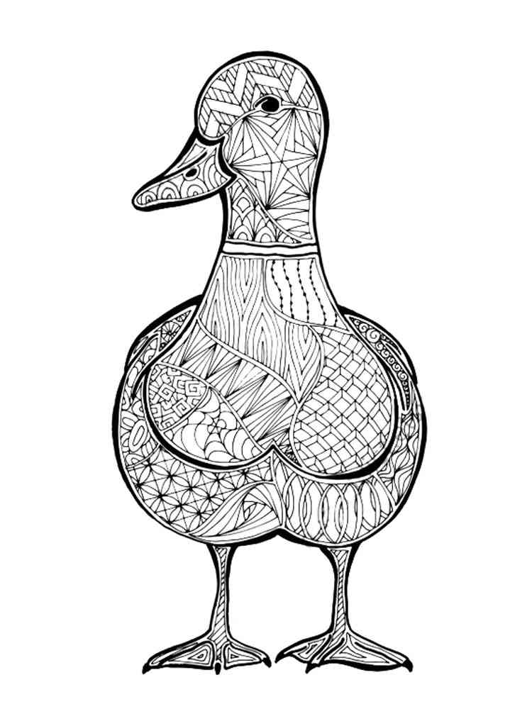 Duck coloring pages for adults