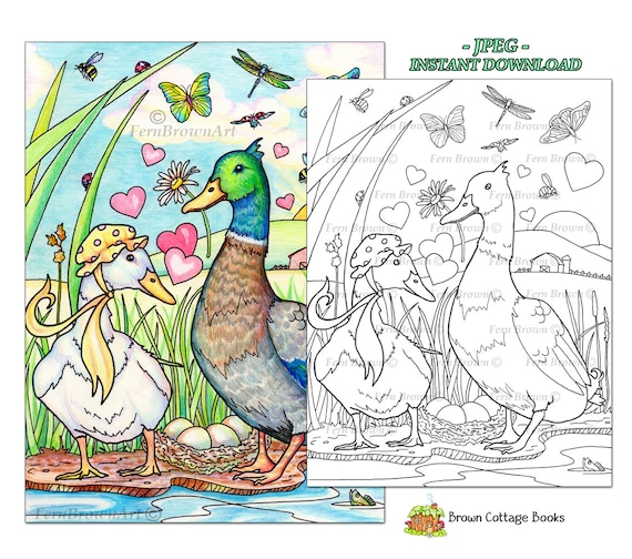 Ducks coloring page instant download animals coloring printable line art duck family by fern brown hand