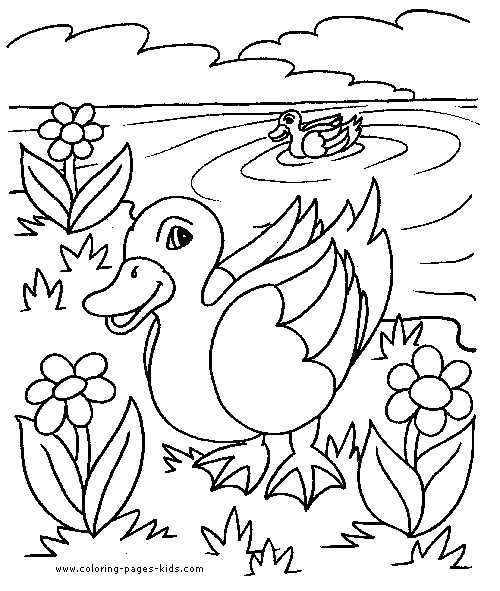 Ducks in a pond color page free printable coloring sheets for kids