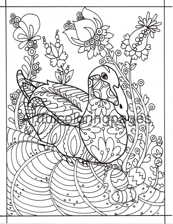 Adult coloring pages duck coloring page printable coloring pages birds coloring pages instant download