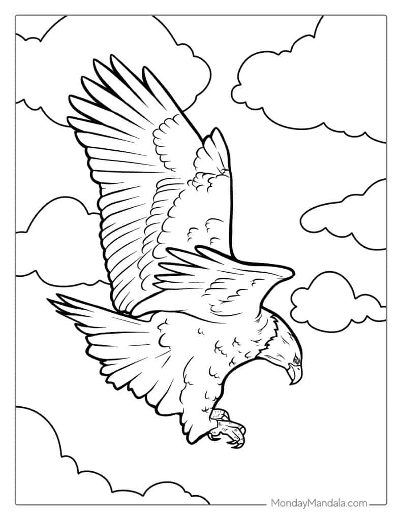 Bald eagle coloring pages free pdf printables