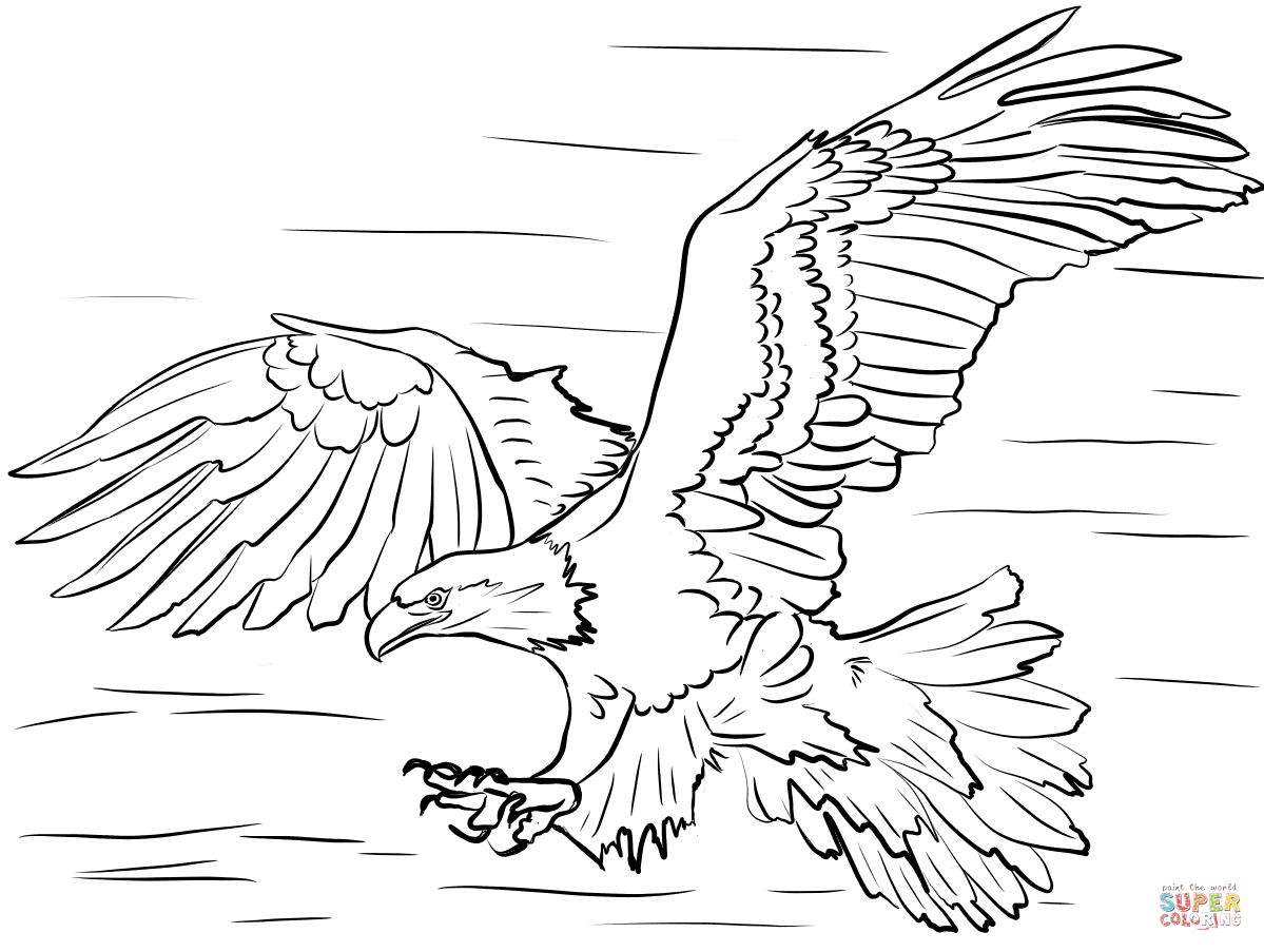 Bald eagle diving for prey coloring page free printable coloring pages