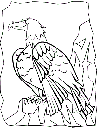 Eagles coloring pages and printable activities