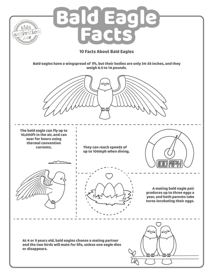 Fun bald eagle facts for kids to print and learn kids activities blog