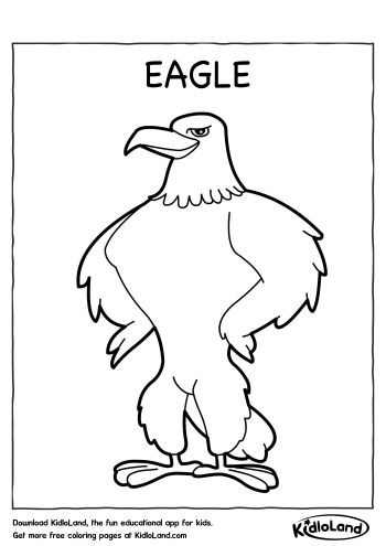 Download free eagle coloring page and educational activity worksheets for kids